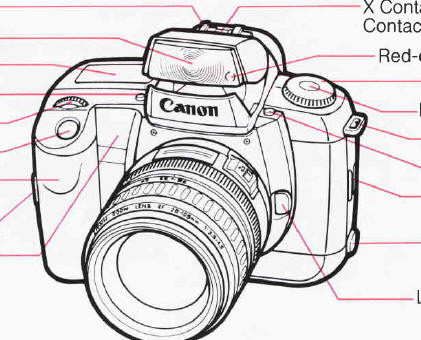 Canon EOS A2 camera