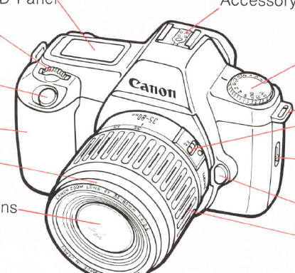  Canon Ds6041  -  5