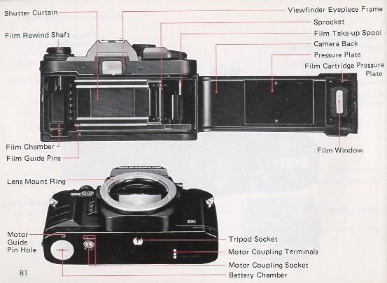 Type: TTL auto-exposure 35mm SLR camera. Film Format: 24mm x 36mm.