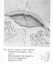 Edixa-mat Reflex camera