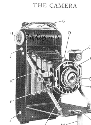 Falcon camera