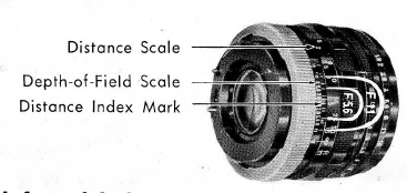 Canon R Lenses