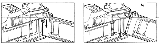 Minolta Data Back DB-3 and DB-7