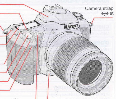 Nikon N75 / N75 QD camera