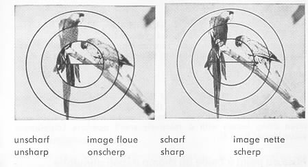 Praktica MTL3 parts