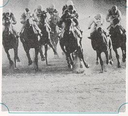 Ricoh TLS 401 camera