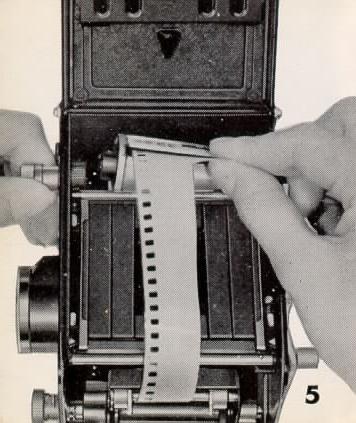 Ricoh color film adapter