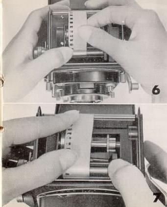 Ricoh color film adapter