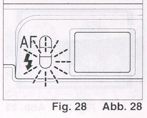 Ricoh R1 camera