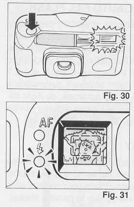 Ricoh RZ-880 camera