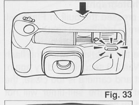 Ricoh RZ-880 camera