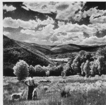 Rolleiflex Automat camera