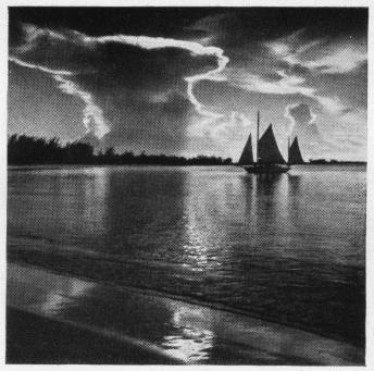 Rolleiflex Automat camera