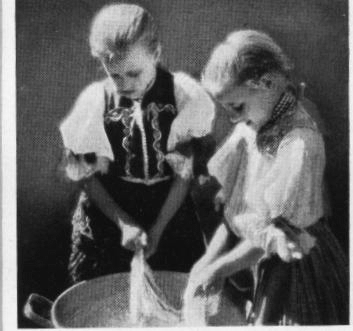 Rolleiflex Automat camera