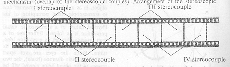 Russian Stereoscopic camera