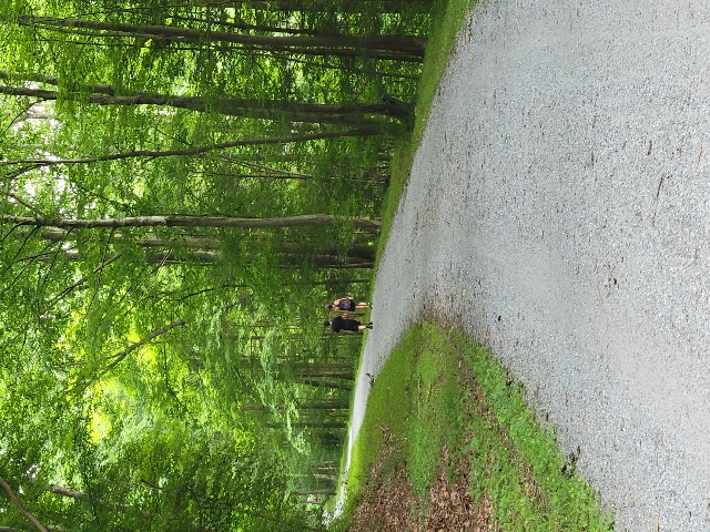 Columbia Trail, High Bridge - Hunterdon County, NJ