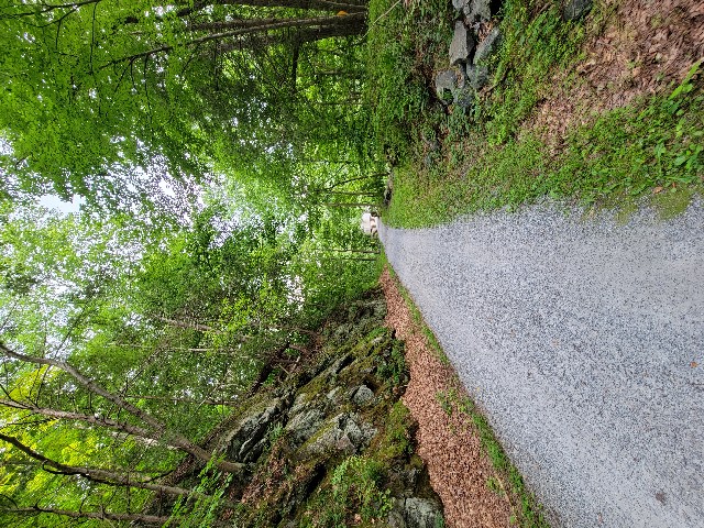 Columbia Trail, High Bridge - Hunterdon County, NJ