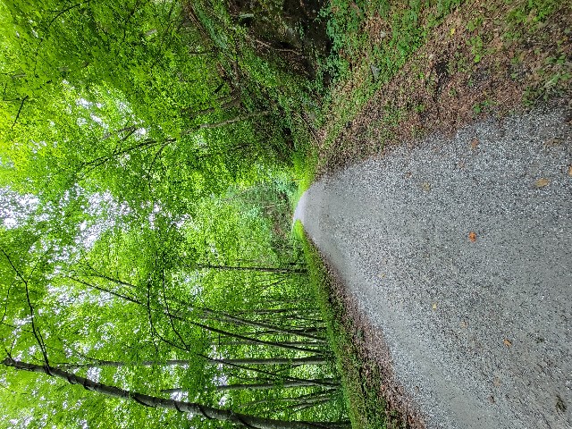 Columbia Trail, High Bridge - Hunterdon County, NJ