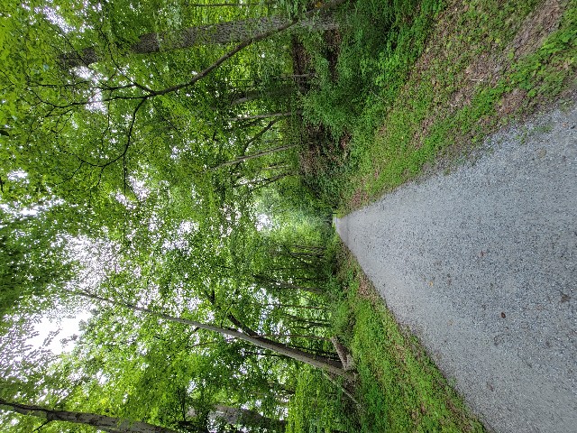 Columbia Trail, High Bridge - Hunterdon County, NJ