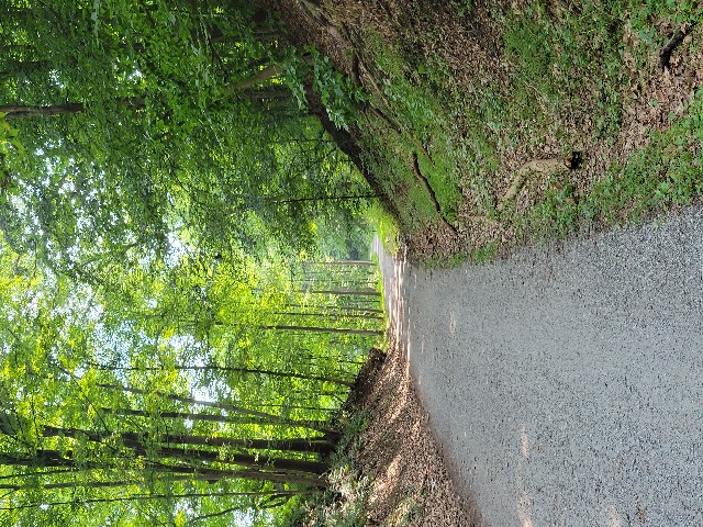 Columbia Trail, High Bridge - Hunterdon County, NJ