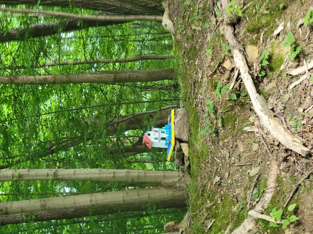 Columbia Trail, High Bridge - Hunterdon County, NJ