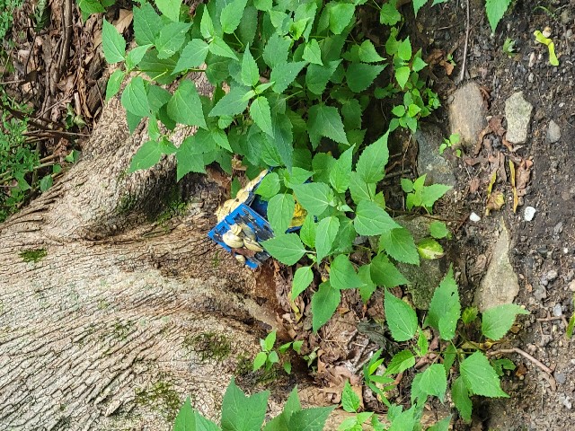 Columbia Trail, High Bridge - Hunterdon County, NJ