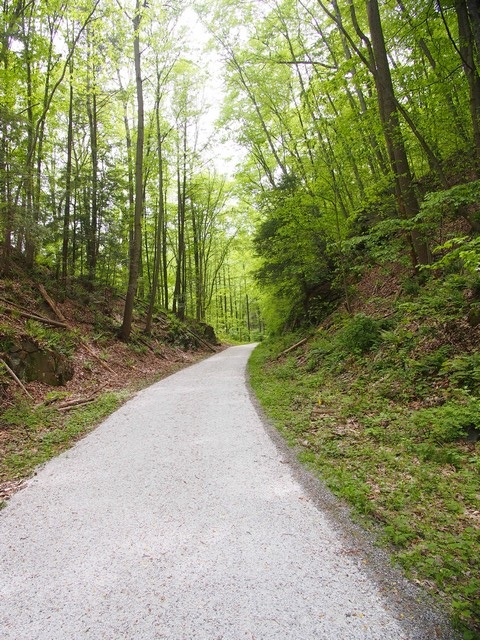 Columbia Trail, High Bridge, NJ 2023