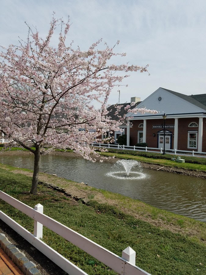 Flemington NJ outlets, dated 2017