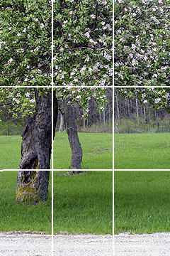 Photography thirds method