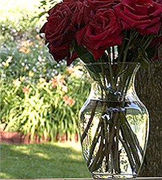 Depth of field example