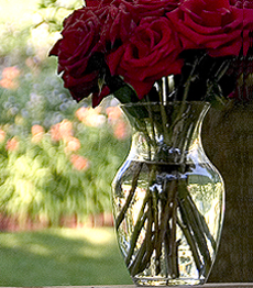 Depth of field example