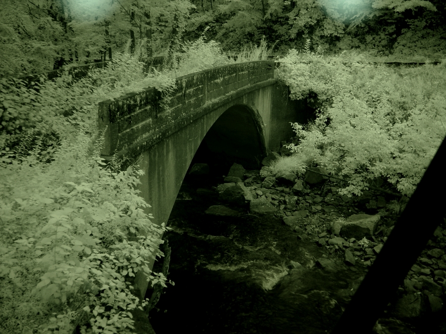 Deep Creek vacation